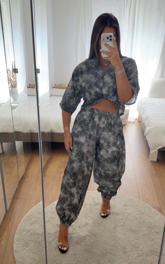 Ensemble SHIR